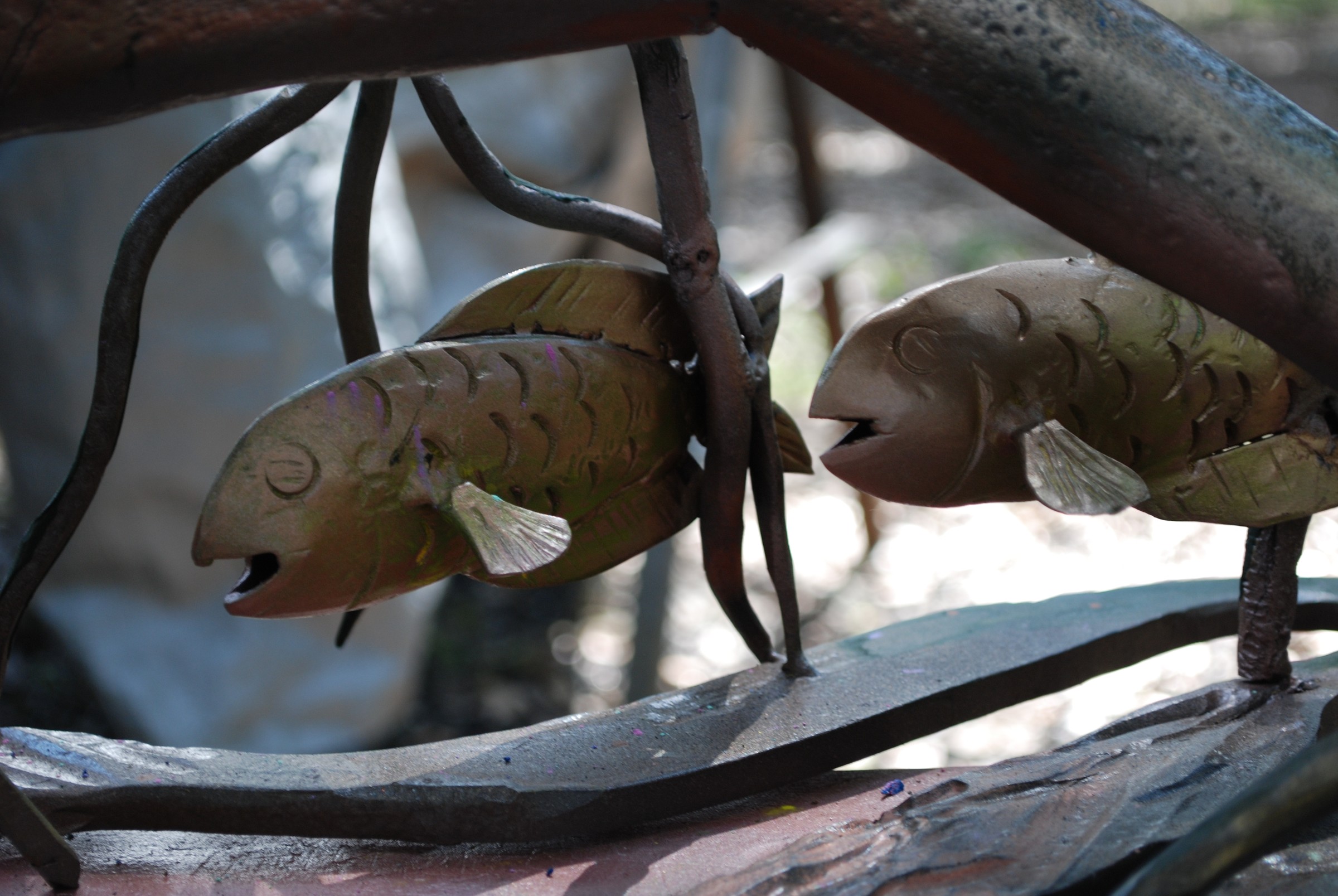 DSC_0497.JPG