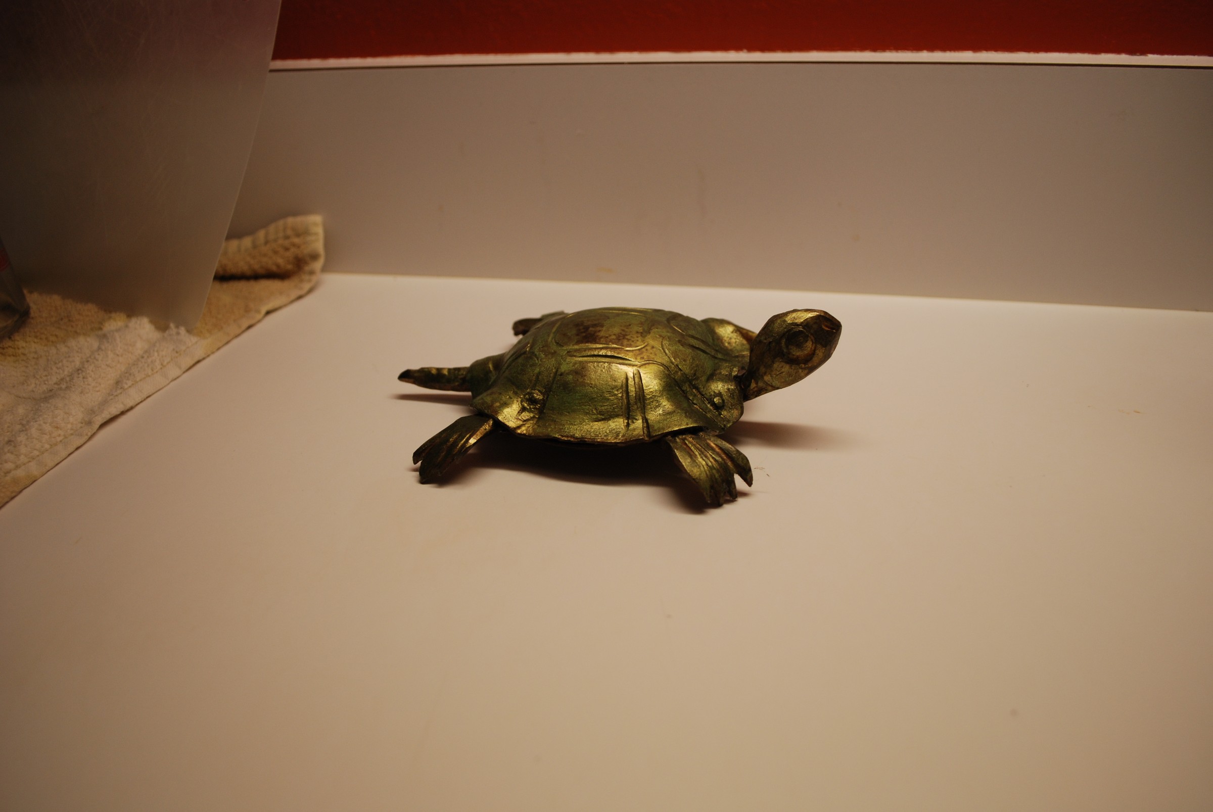 DSC_0501.JPG