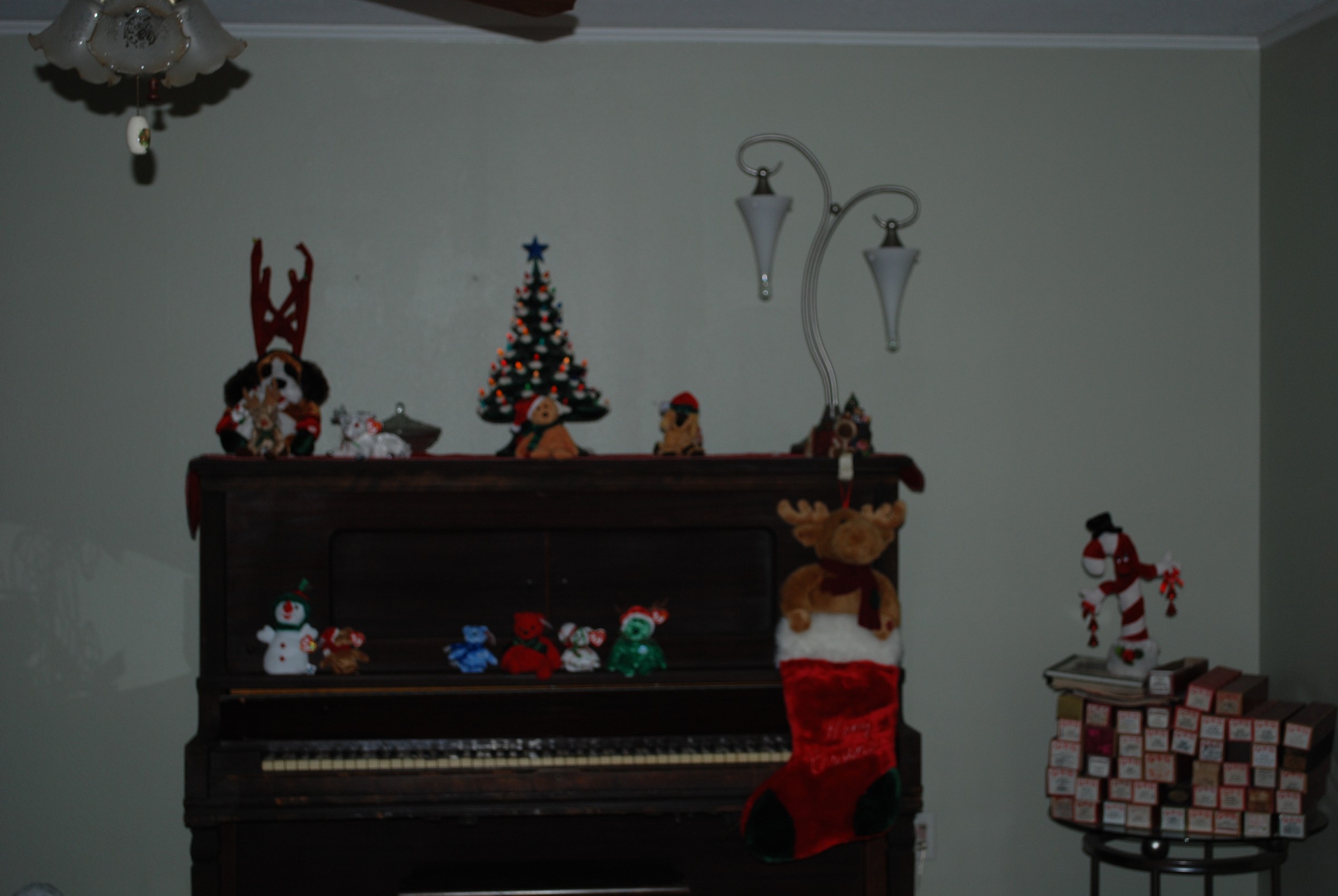 DSC_0604.JPG
