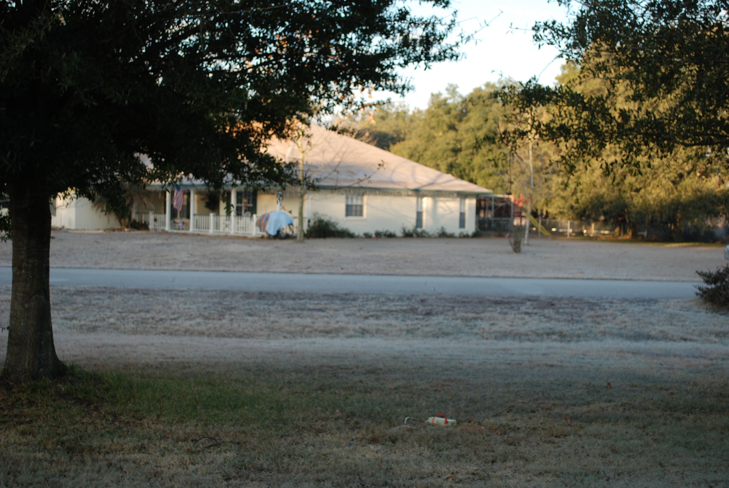 DSC_0613.JPG