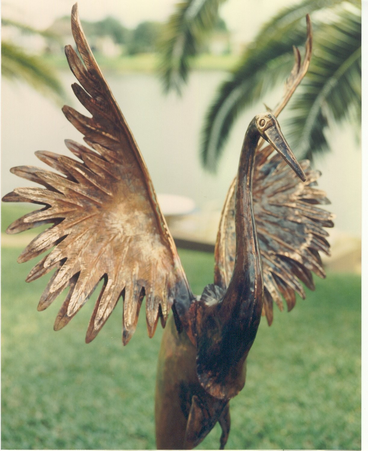 spreadyourwings1222.jpg