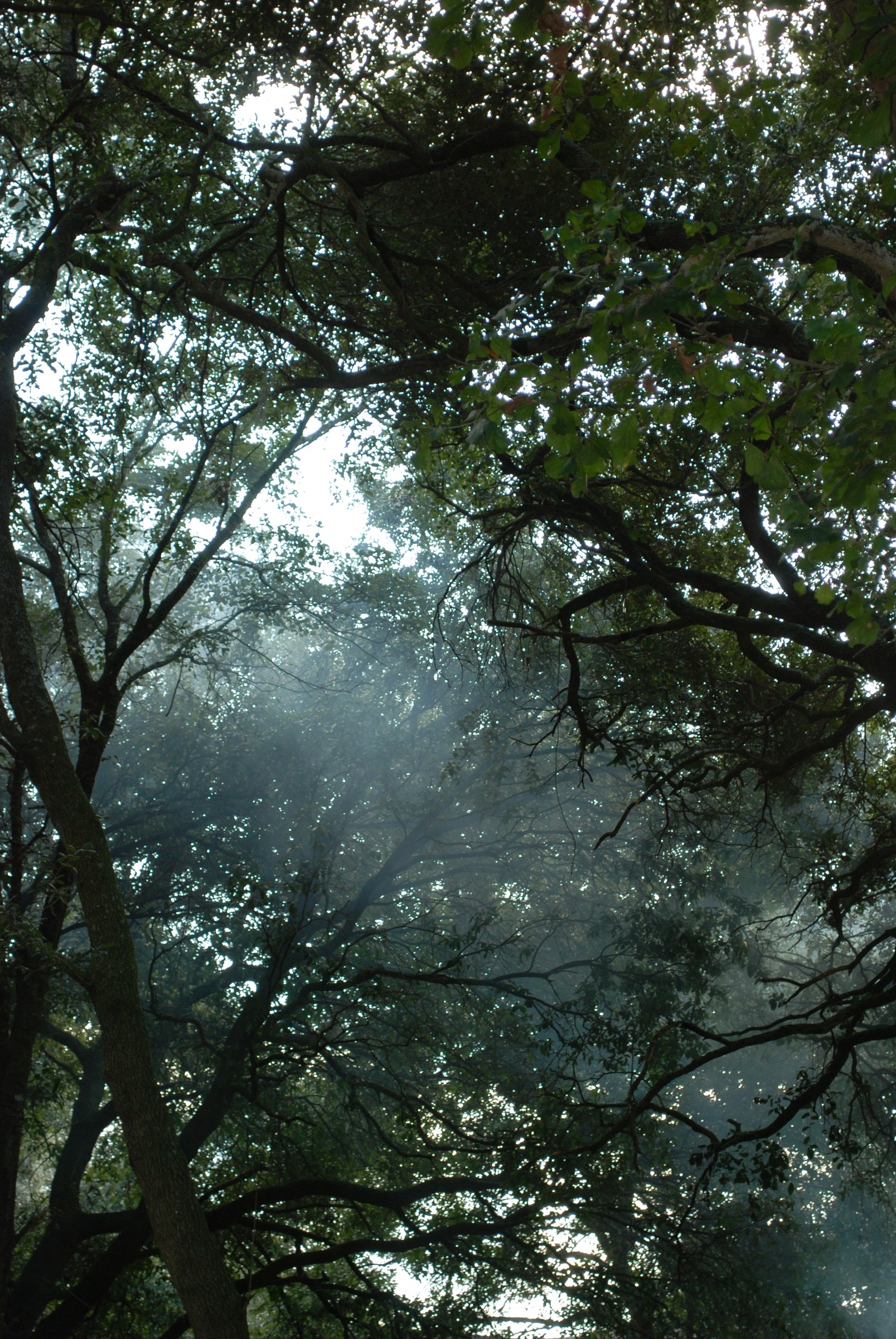 DSC_0676.JPG