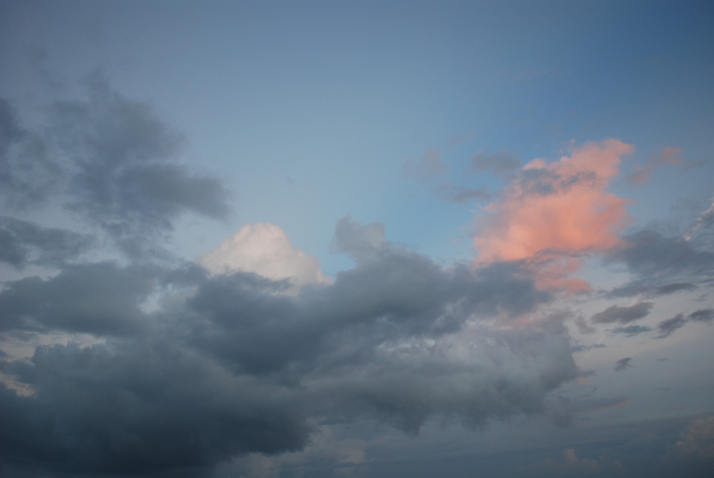 DSC_0138.JPG
