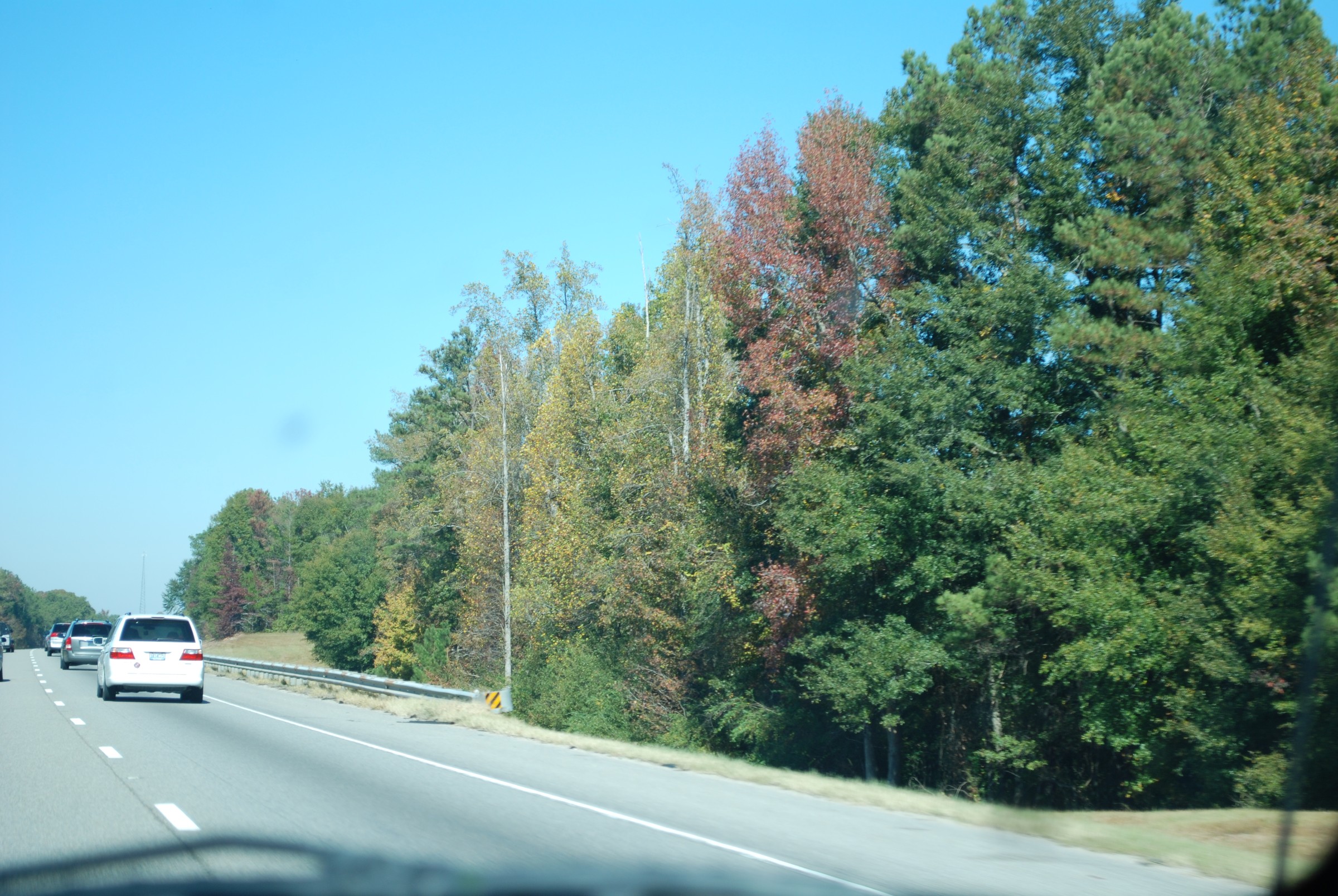 DSC_0221.JPG