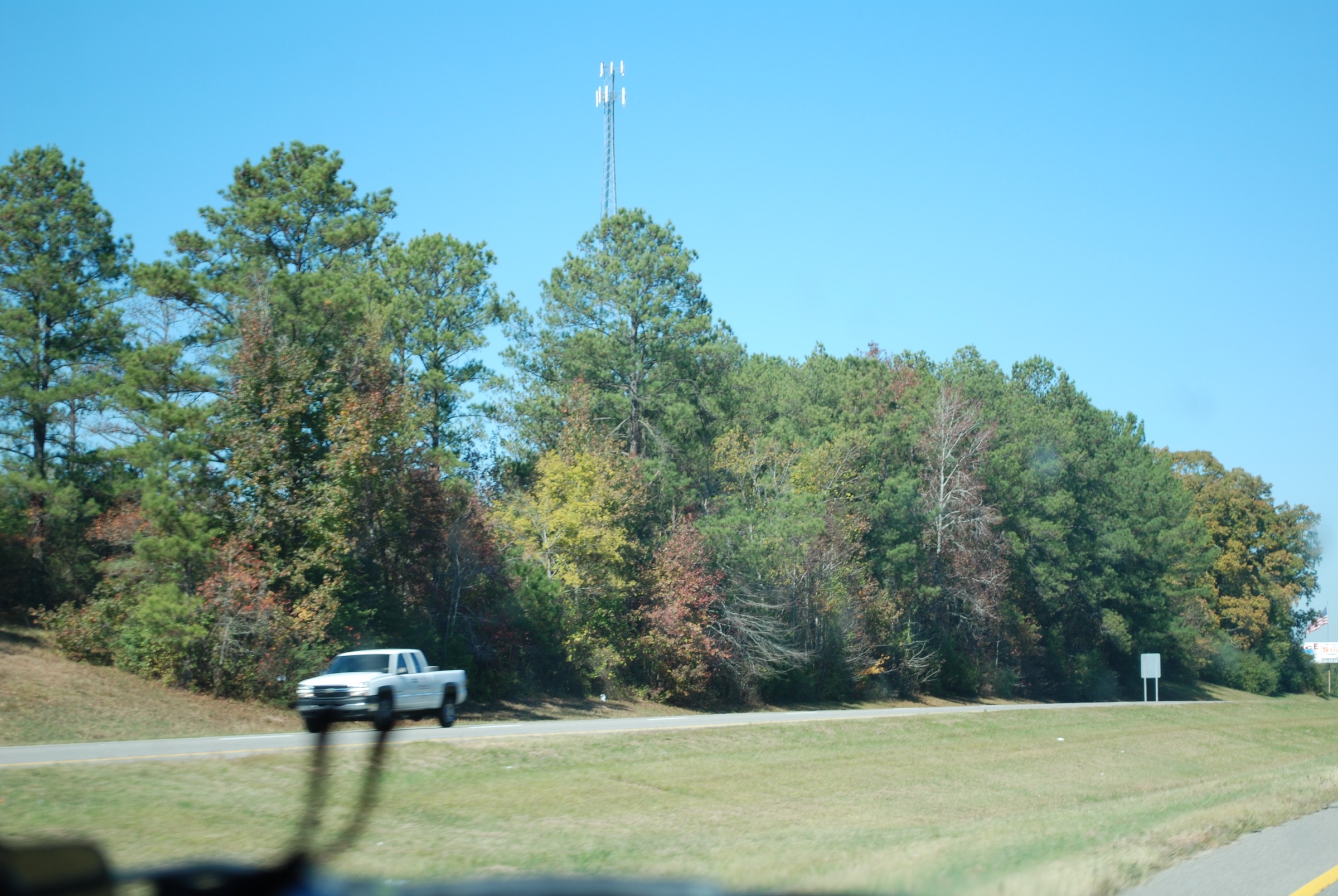 DSC_0223.JPG