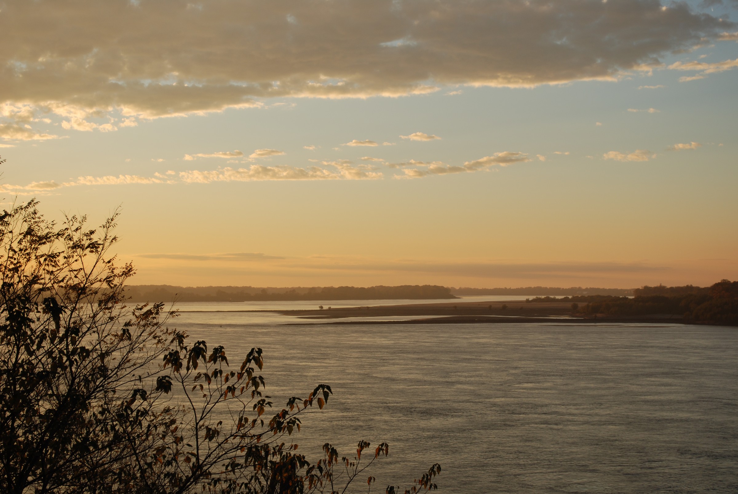 DSC_0246.JPG
