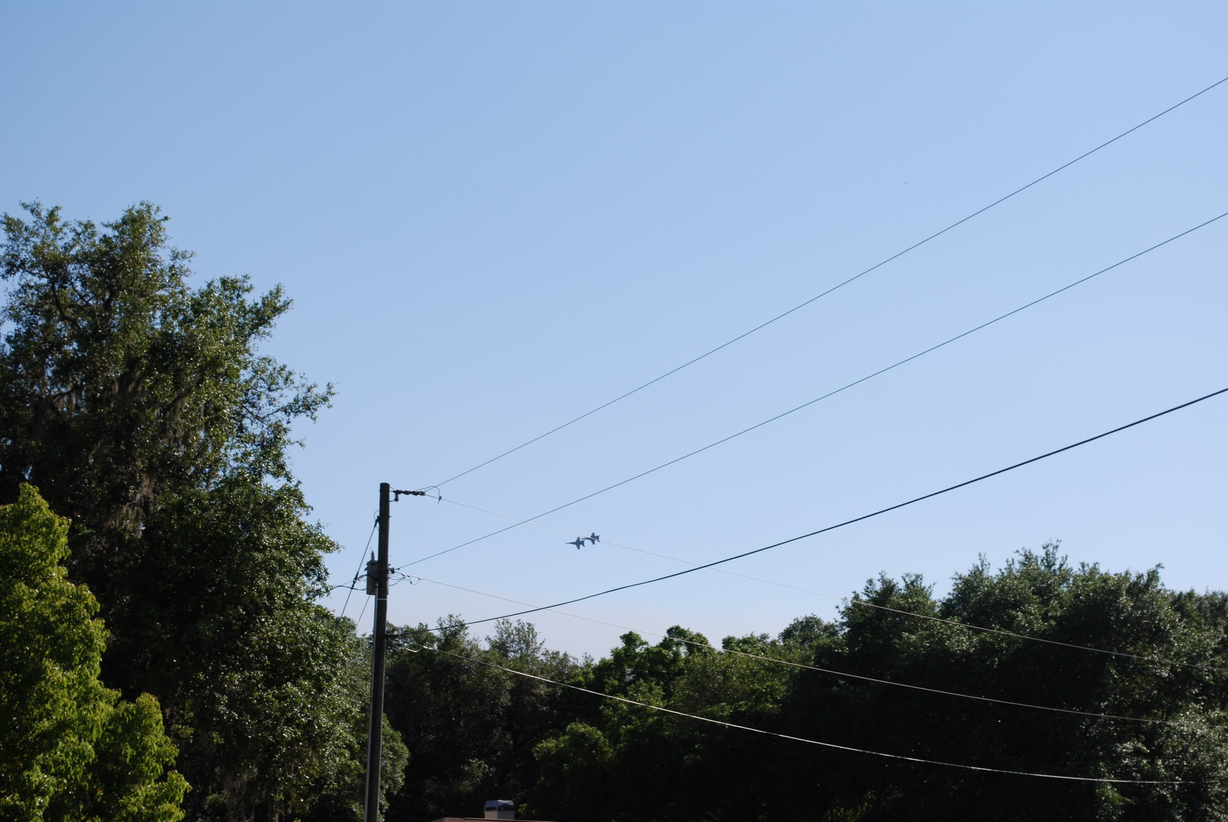 DSC_0431.JPG