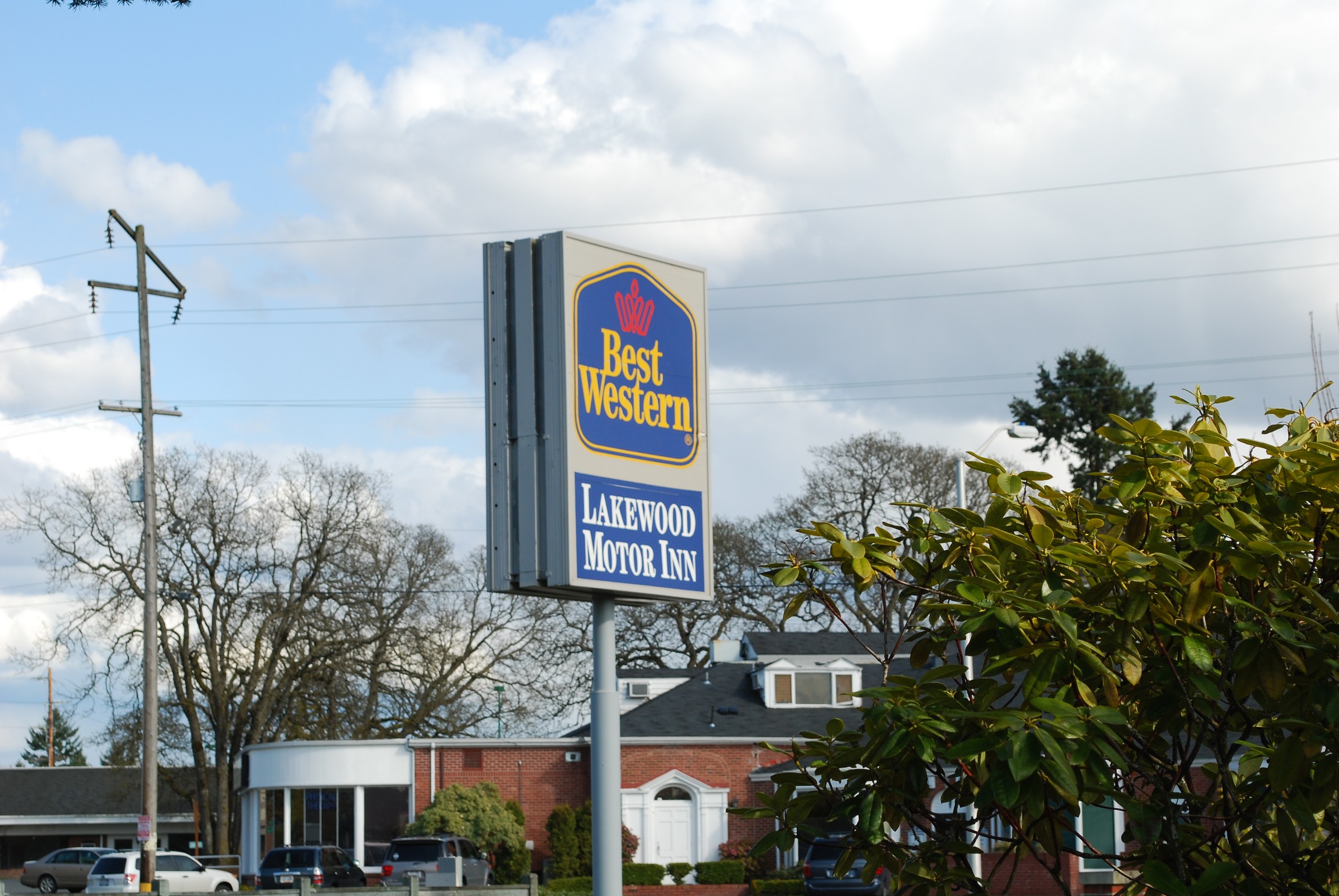 DSC_0528.JPG