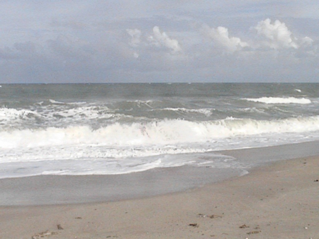 DVC01063.jpg