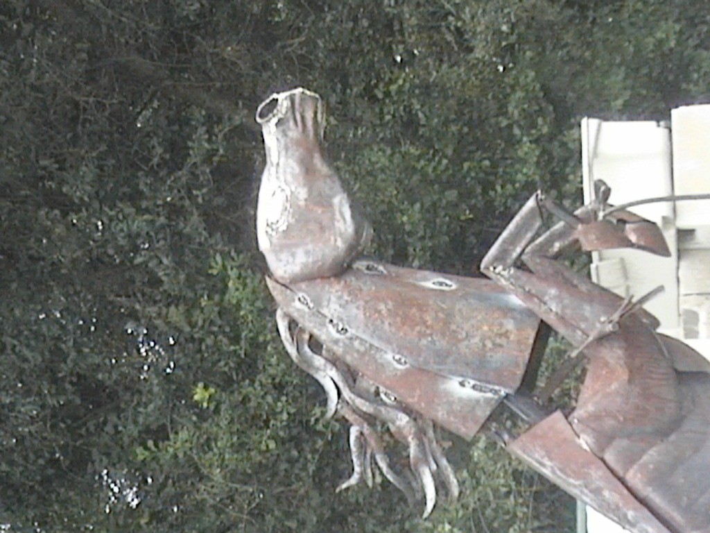 DVC01095.jpg