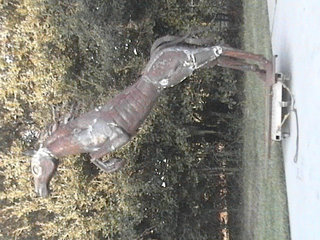 DVC01099.jpg