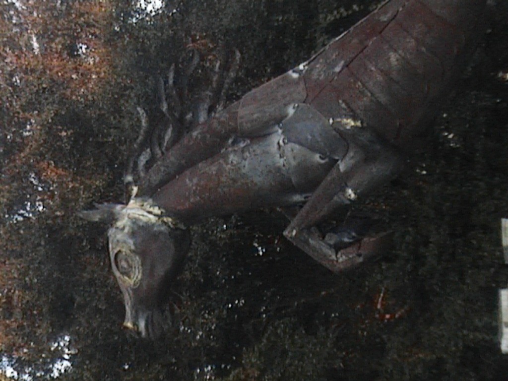 DVC01102.jpg