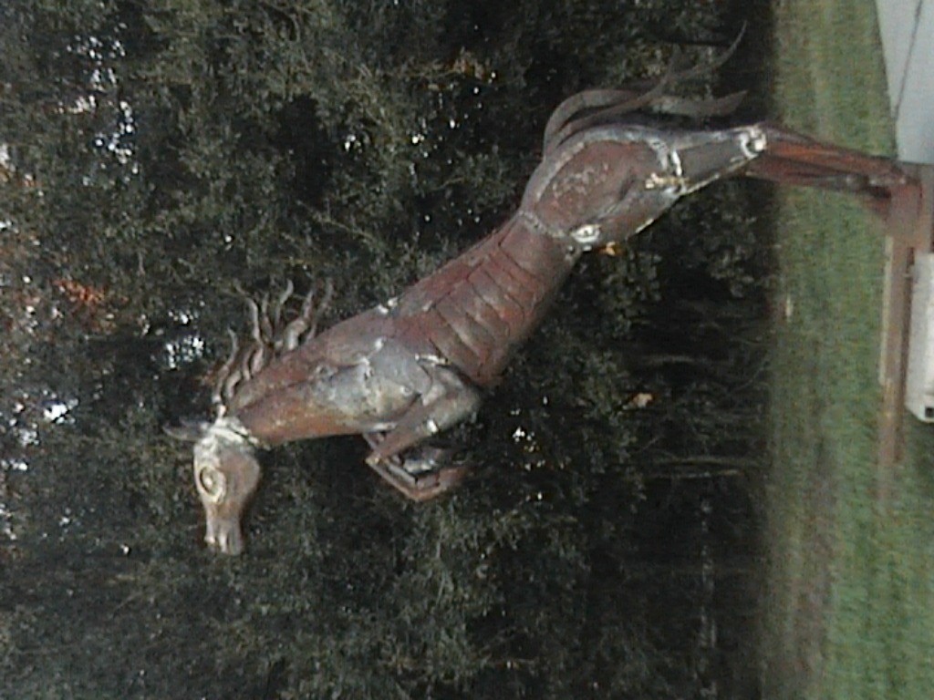 DVC01104.jpg