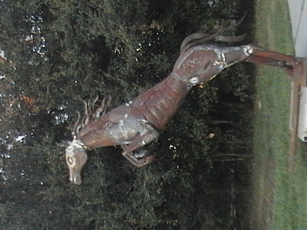 DVC01105.jpg