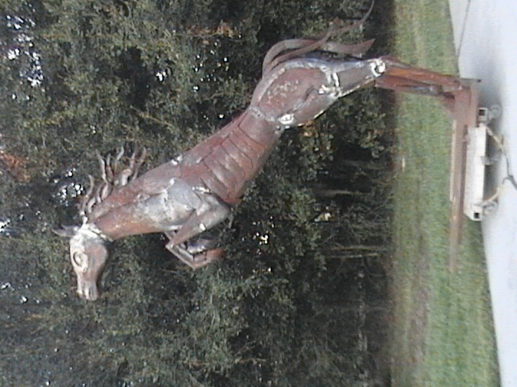 DVC01106.jpg