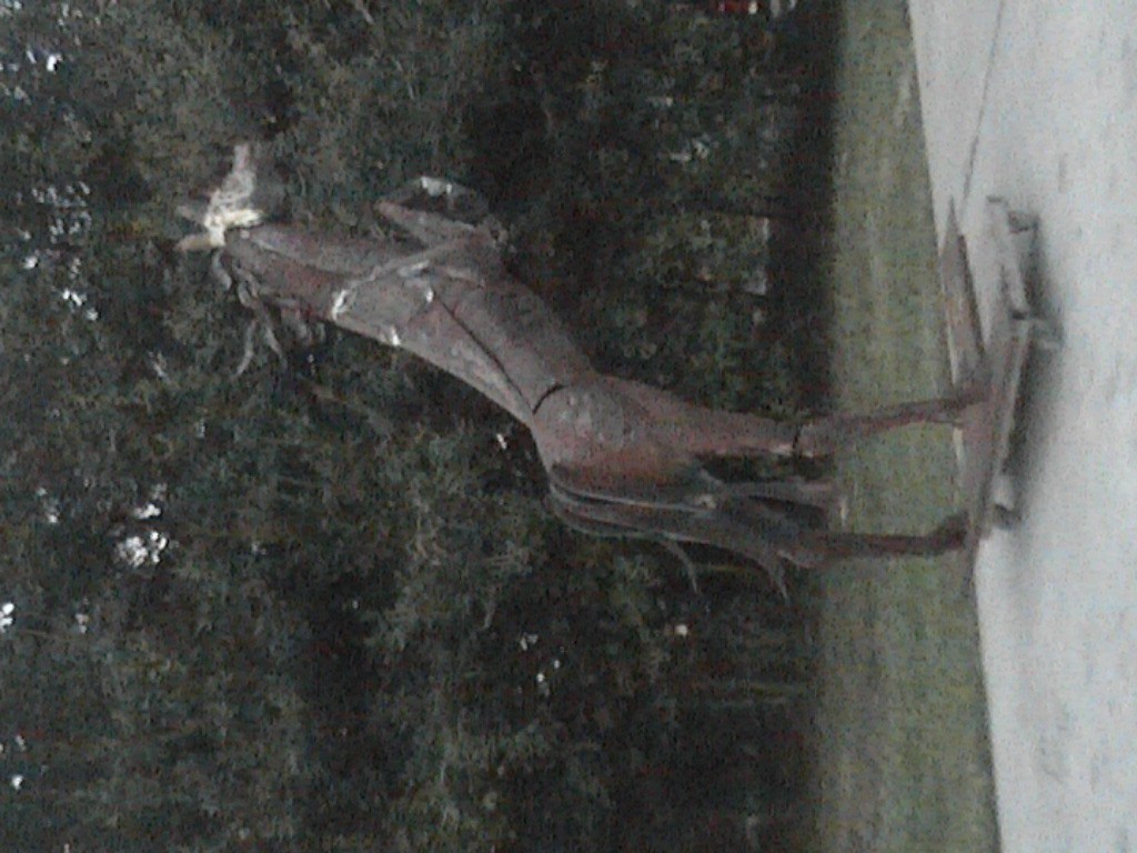 DVC01119.jpg