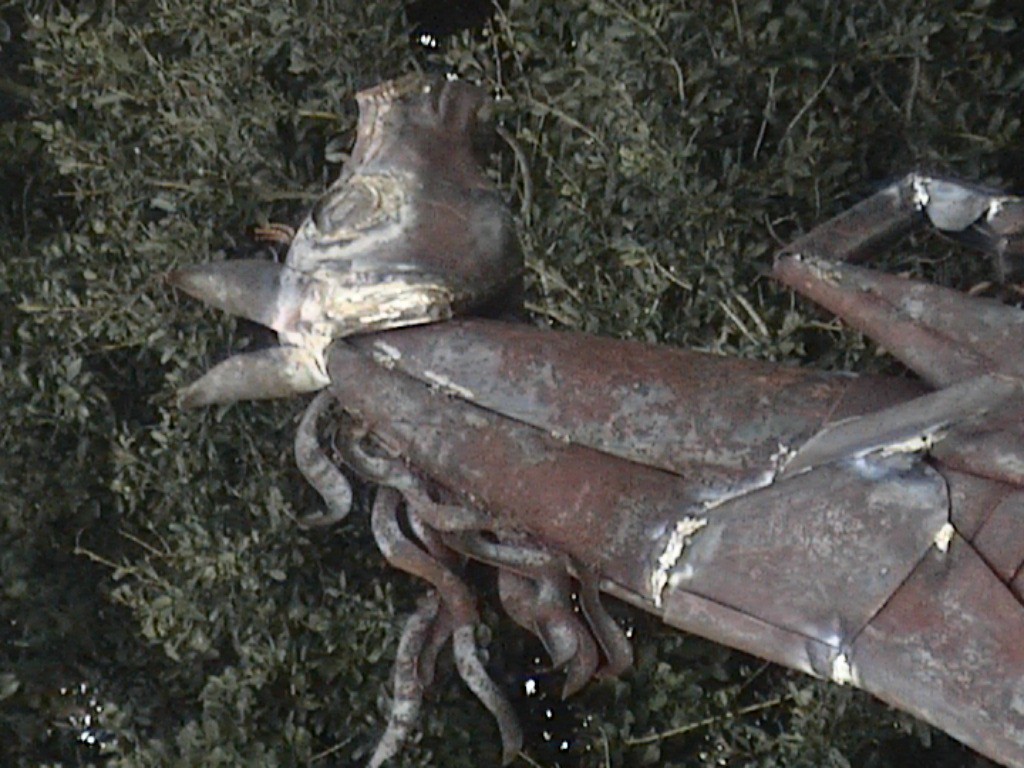 DVC01120.jpg