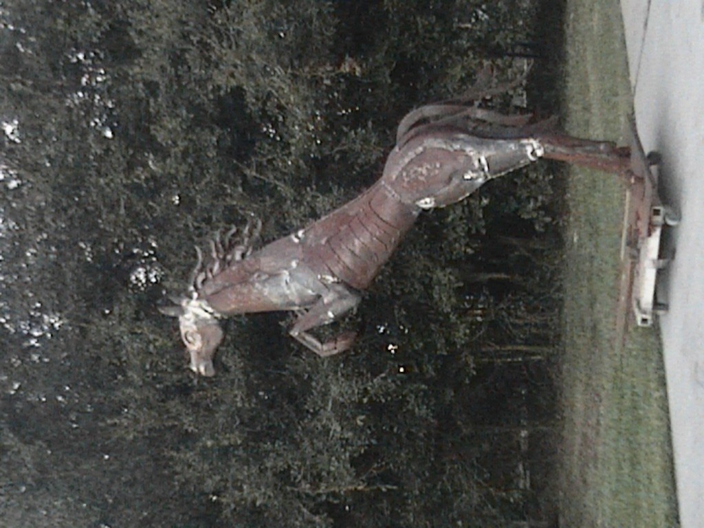 DVC01123.jpg