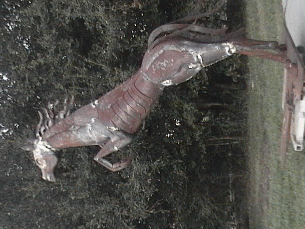 DVC01125.jpg