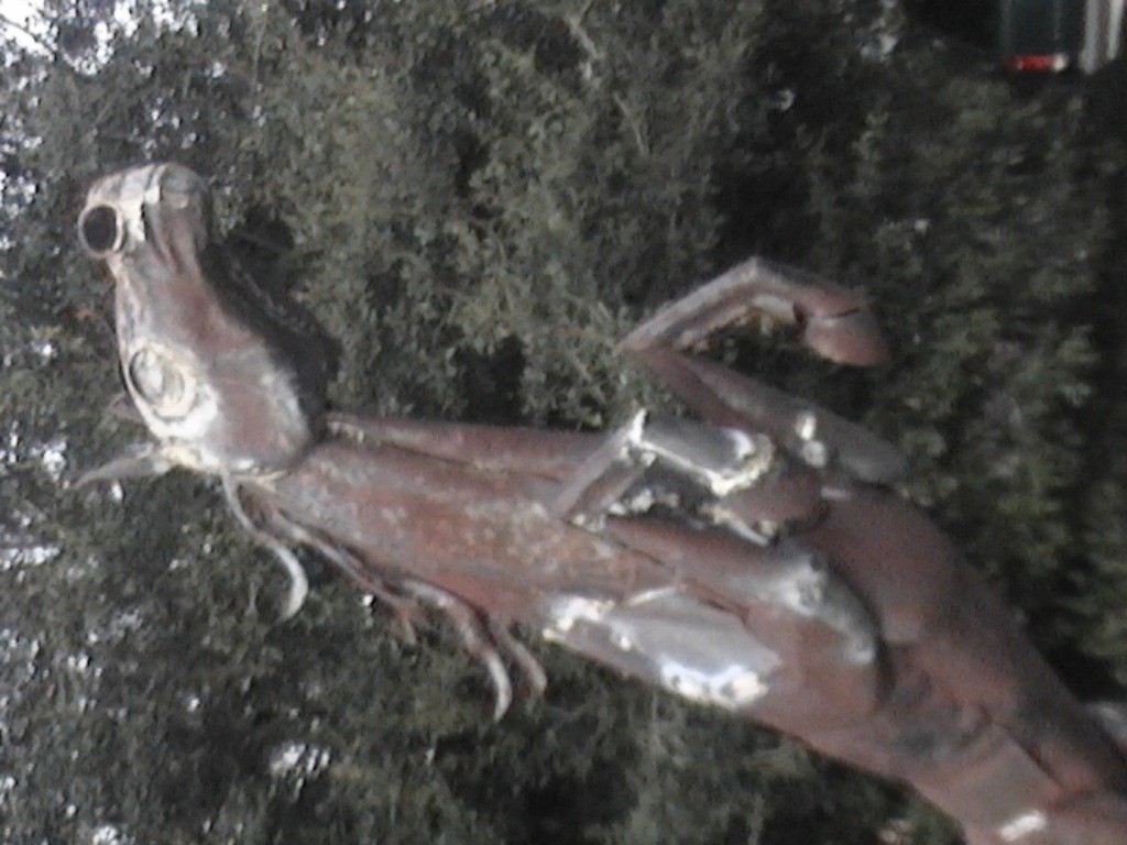 DVC01127.jpg