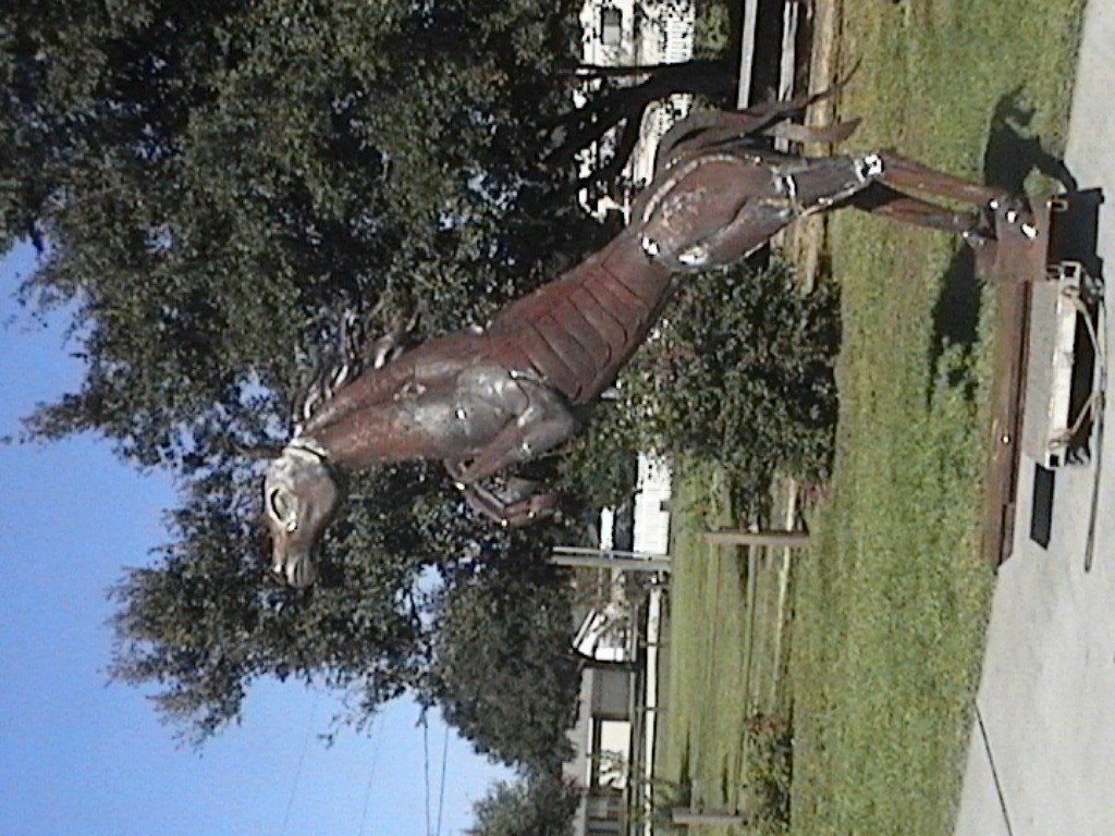 DVC01136.jpg