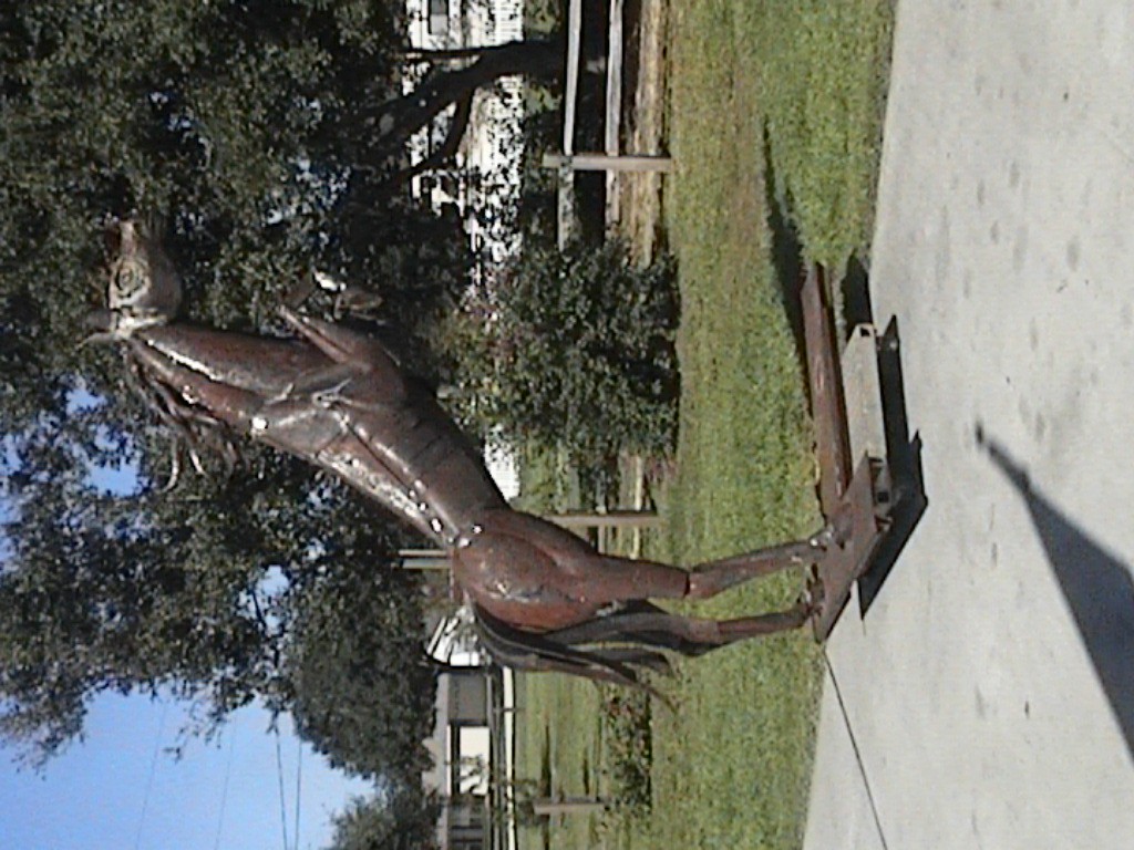 DVC01143.jpg