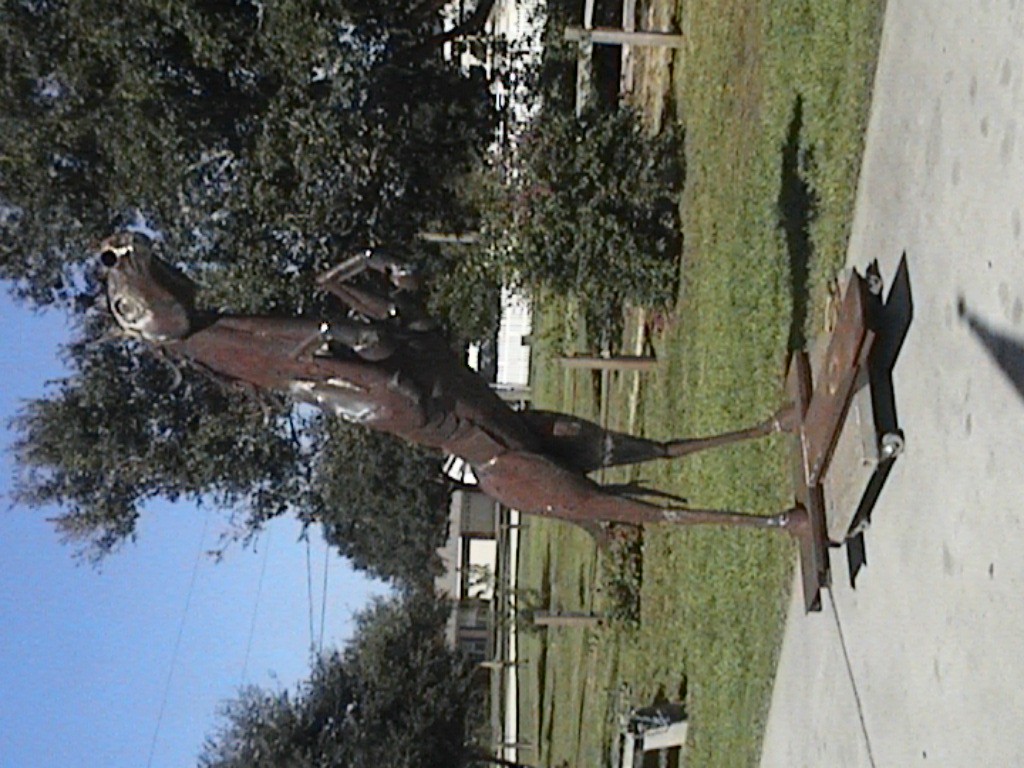 DVC01144.jpg