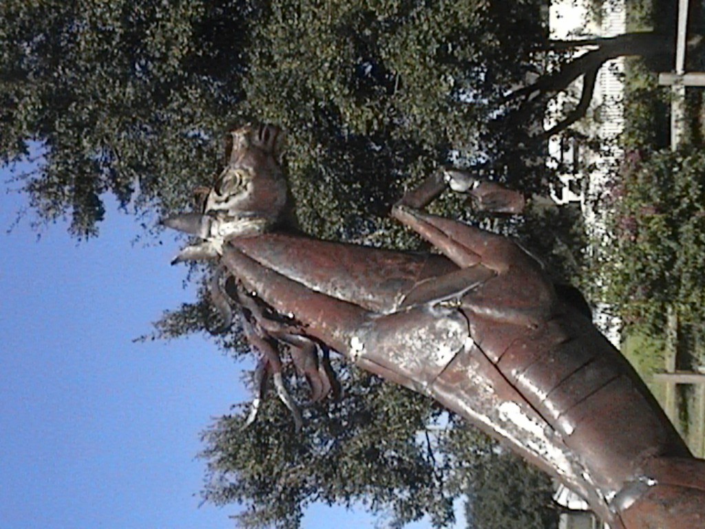 DVC01145.jpg