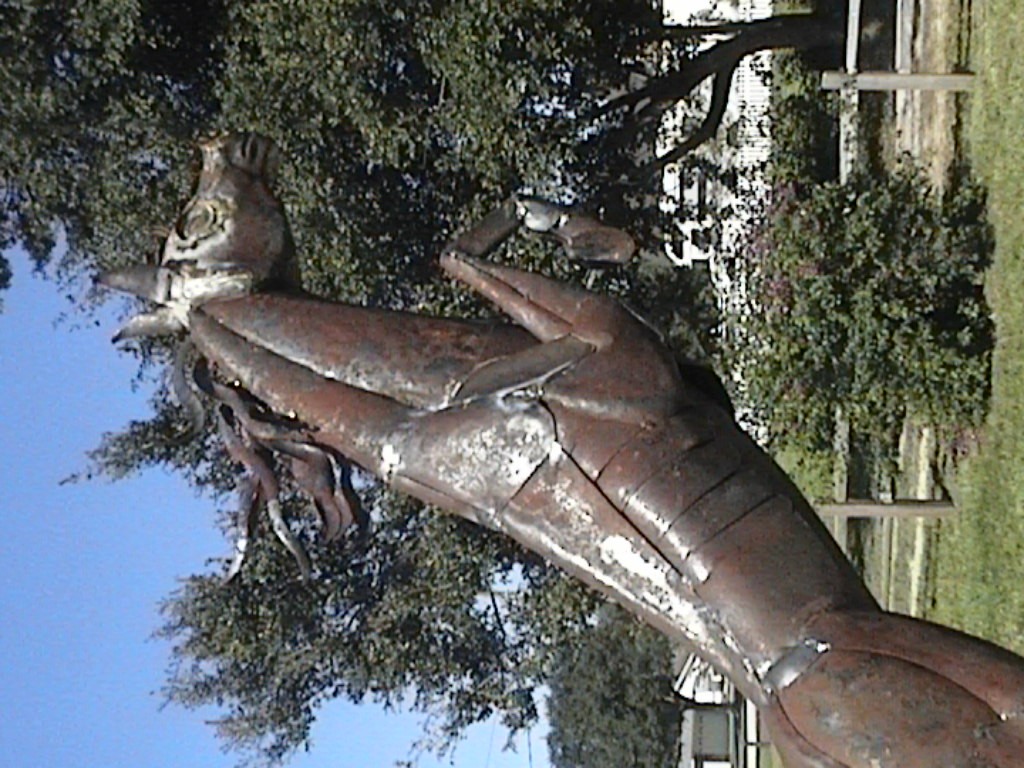 DVC01146.jpg