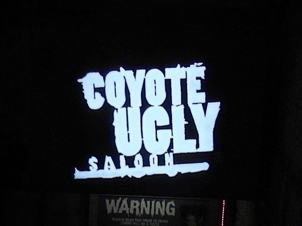 DVC01178.jpg