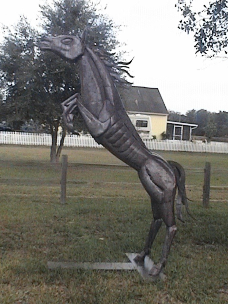 DVC01191.jpg