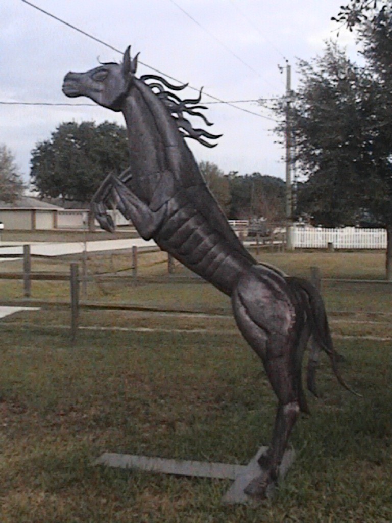 DVC01194.jpg