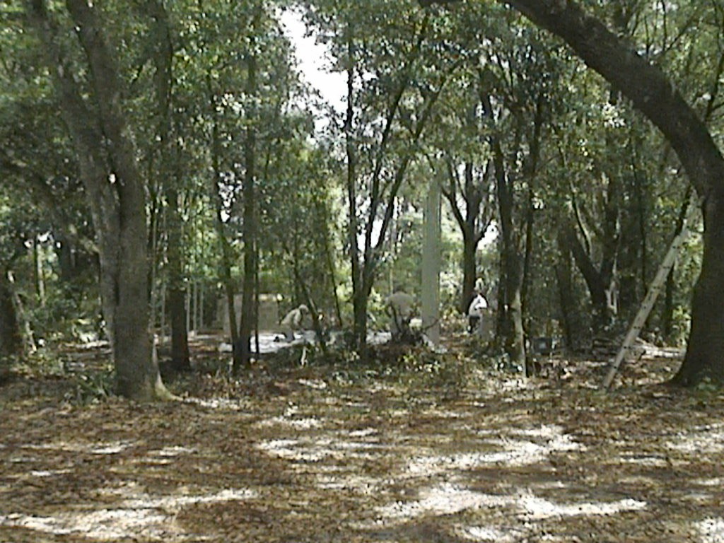 DVC01249.jpg