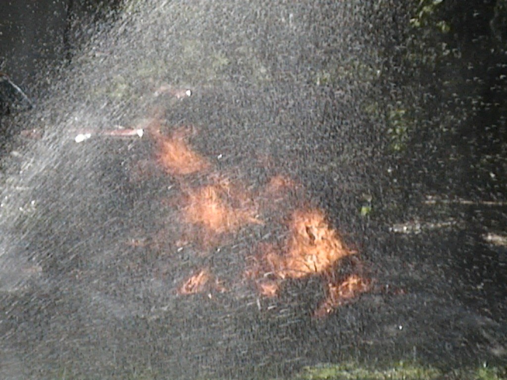 DVC01362.jpg