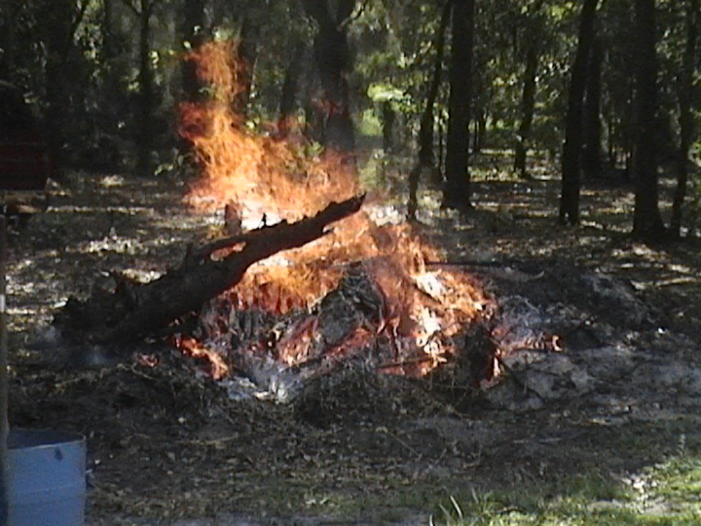 DVC01364.jpg