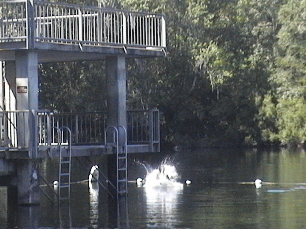 DVC01403.jpg
