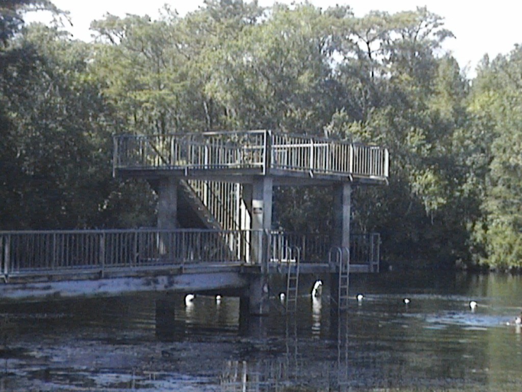 DVC01404.jpg