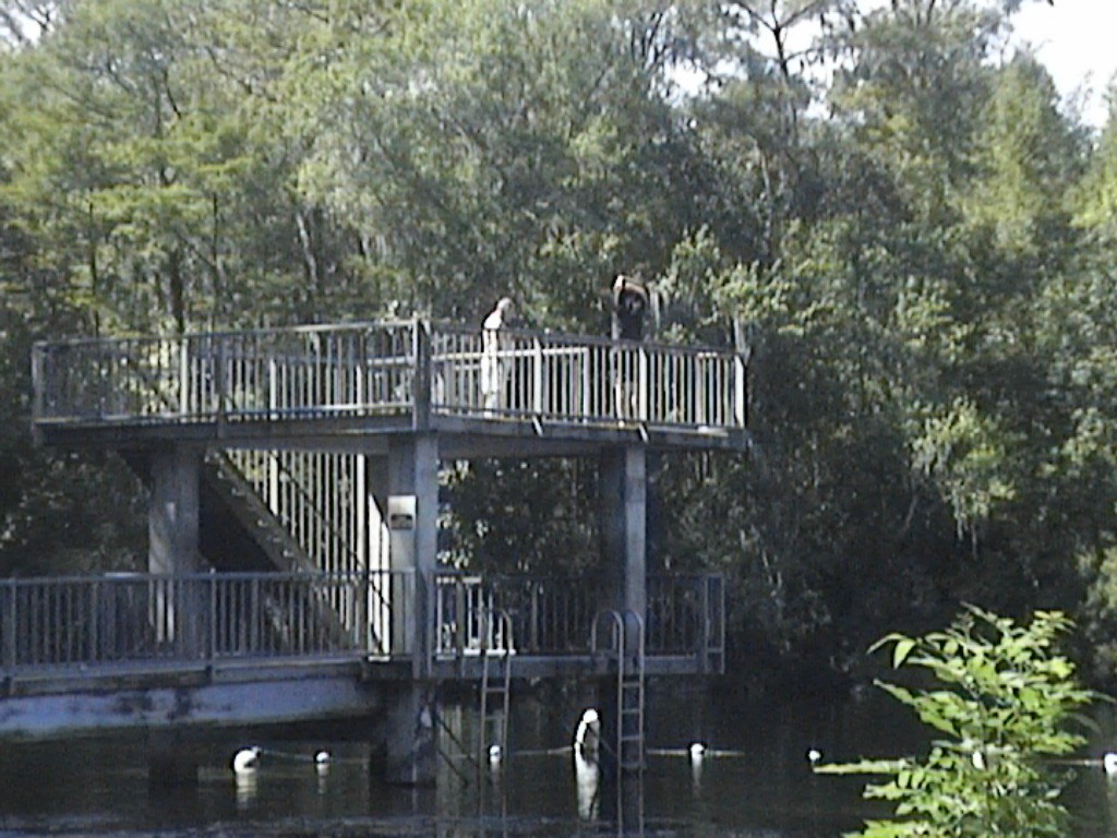 DVC01409.jpg