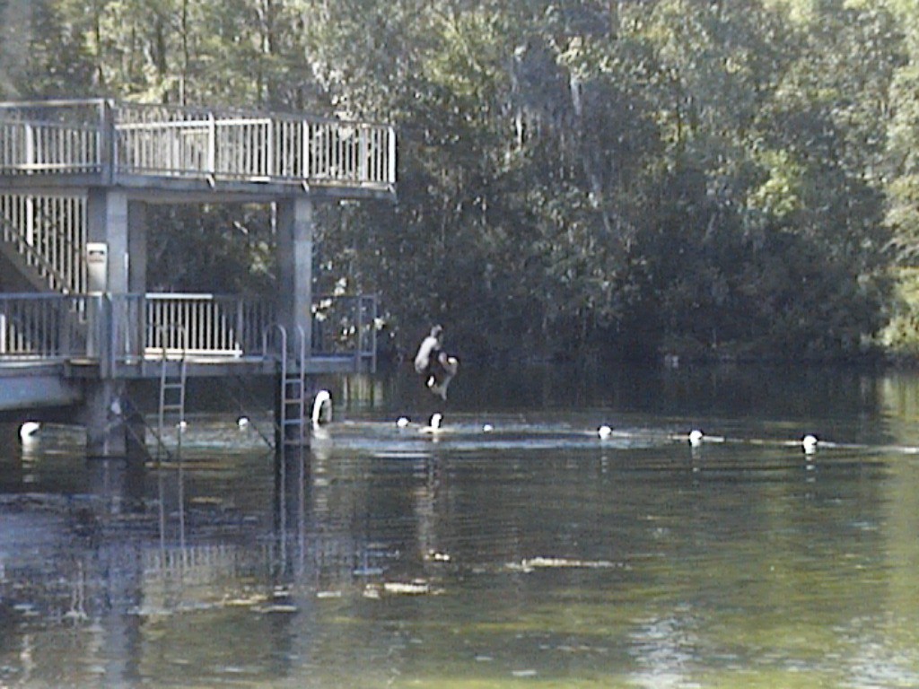 DVC01419.jpg