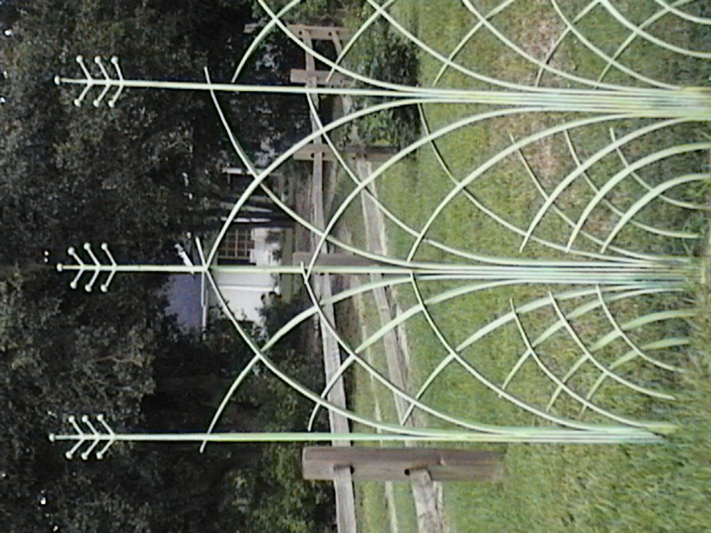 Imported Photos 00011.JPG