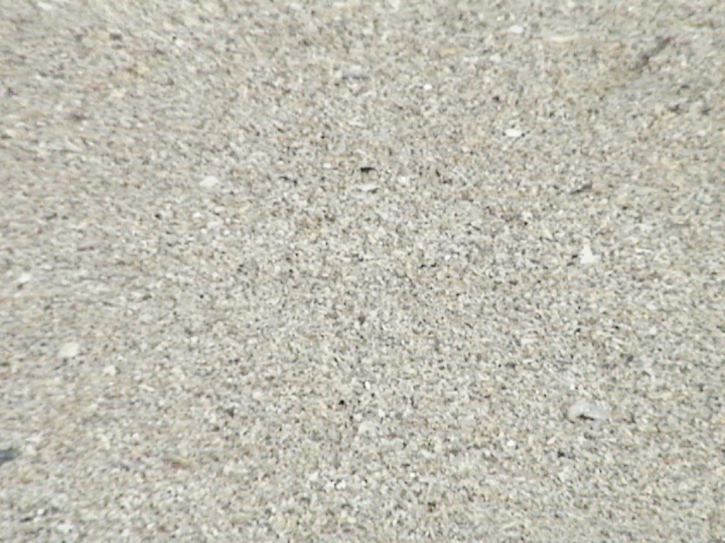 Imported Photos 00025.JPG