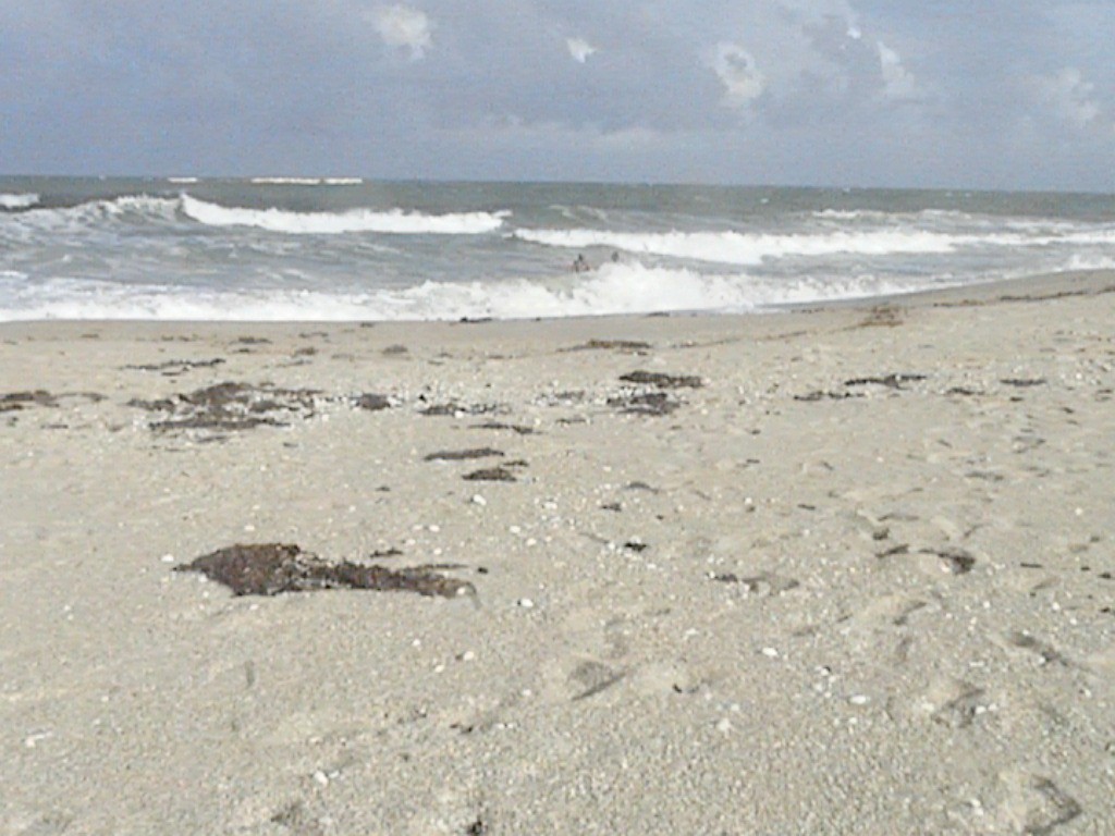 Imported Photos 00048.JPG