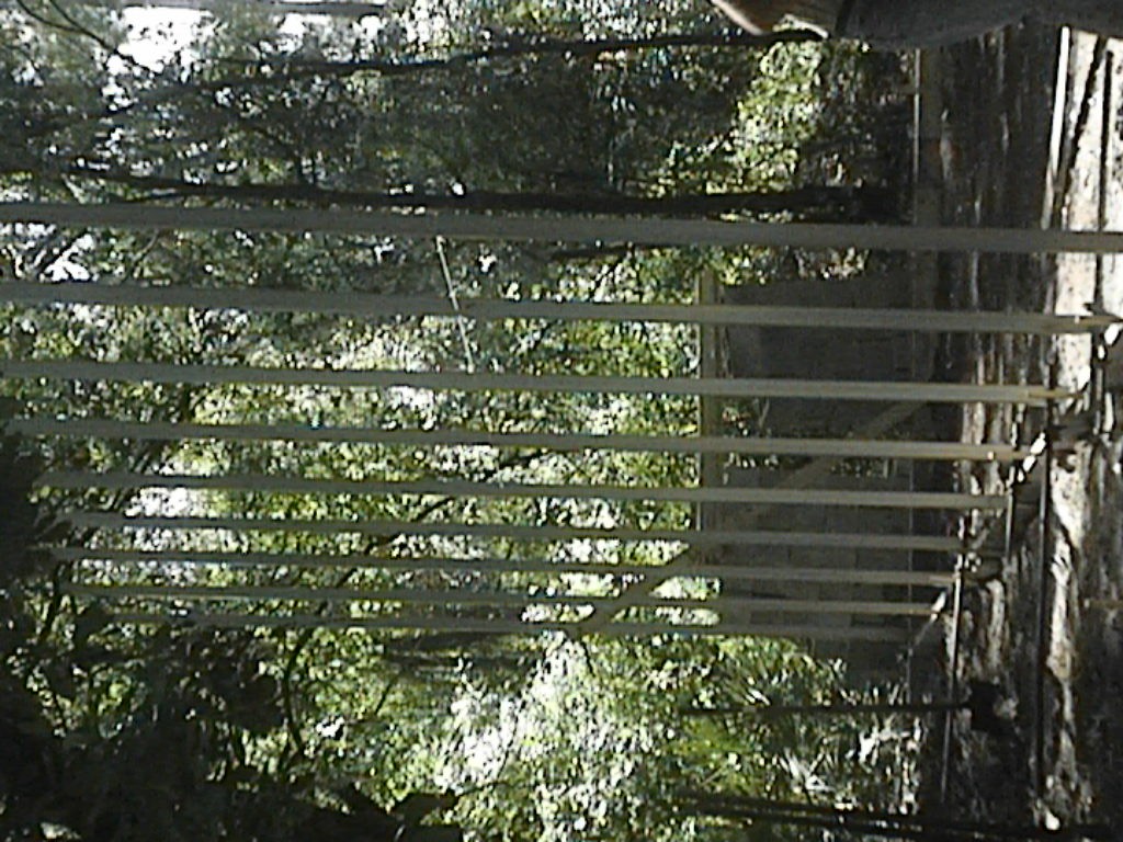 Imported Photos 00206.JPG