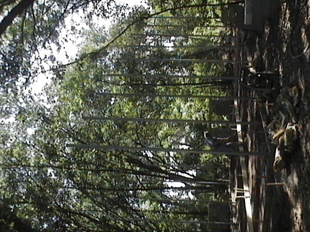 Imported Photos 00209.JPG