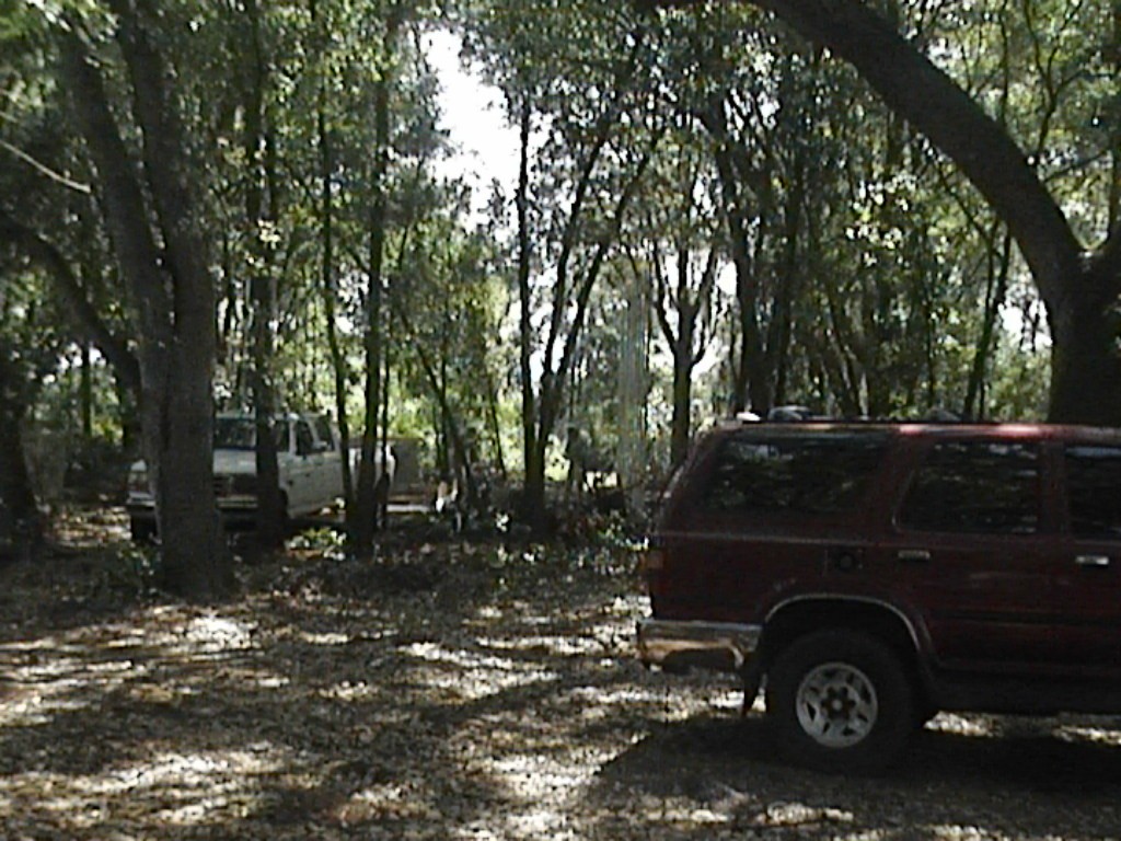 Imported Photos 00214.JPG