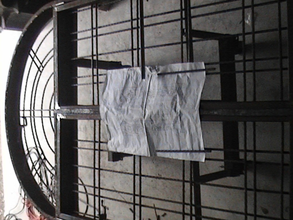 Imported Photos 00259.JPG