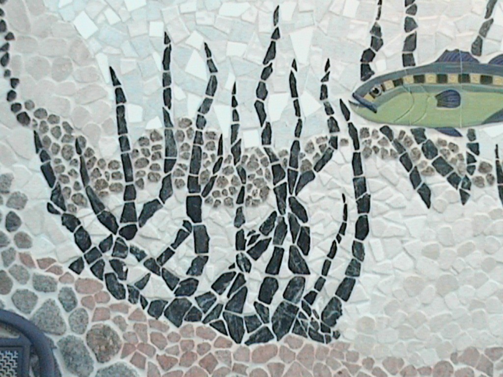 DVC01037.jpg