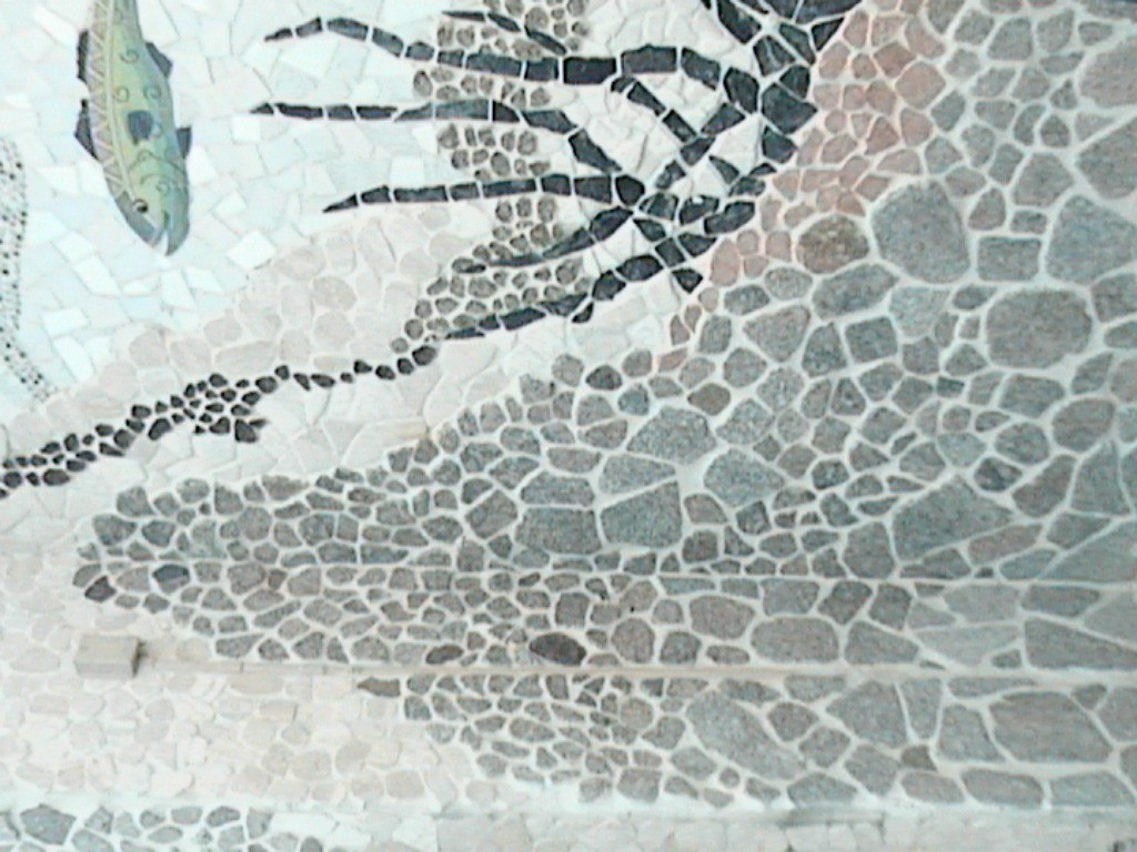 DVC01039.jpg