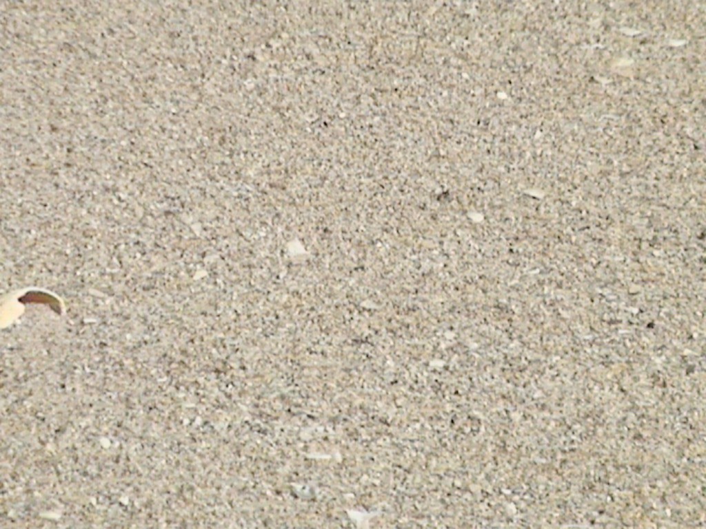 DVC01045.jpg