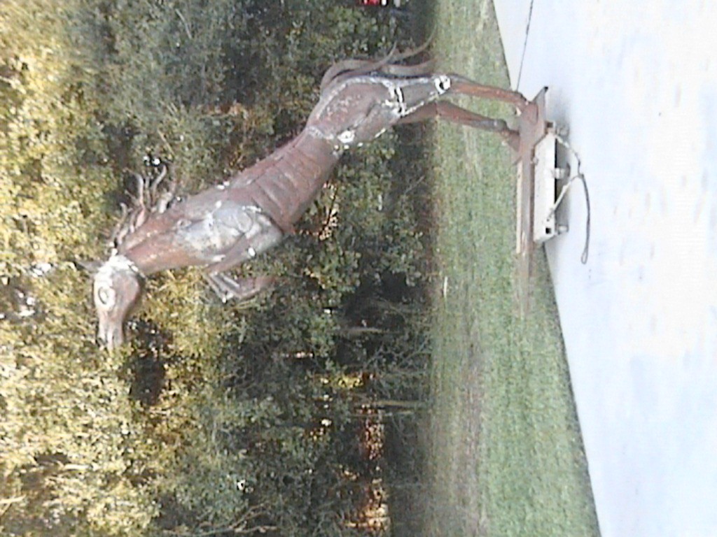 DVC01100.jpg